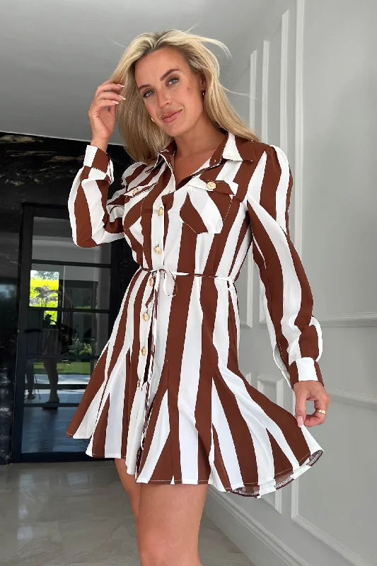 Unbeatable Prices!Francis Brown Stripe Collar Shirt Skater Dress